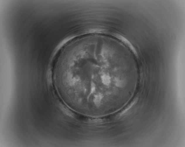 X0000114561019200910191427