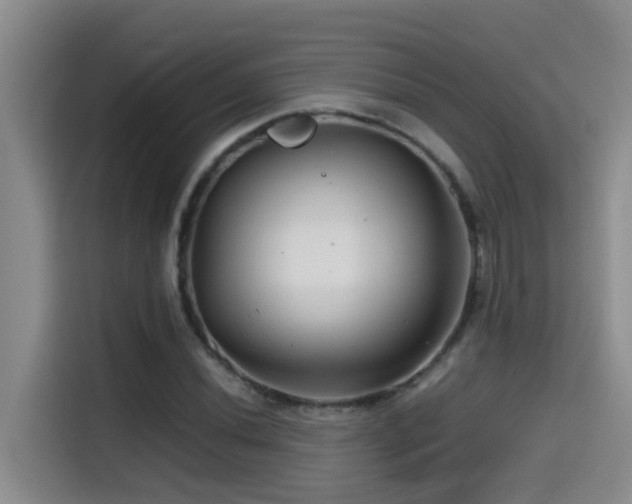 X0000114561020200910191427
