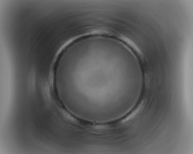 X0000114561021200910191427