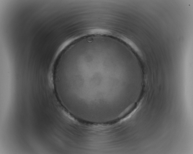 X0000114561022200910191427