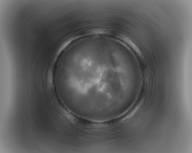 X0000114561023200910191427