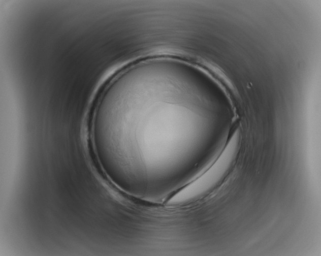 X0000114561024200910191427