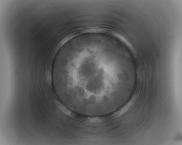 X0000114561025200910191427