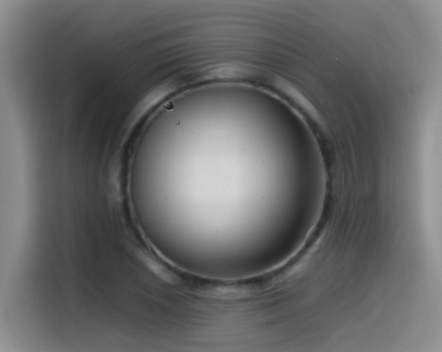 X0000114561026200910191427