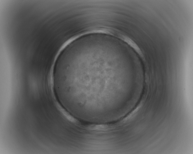 X0000114561028200910191427