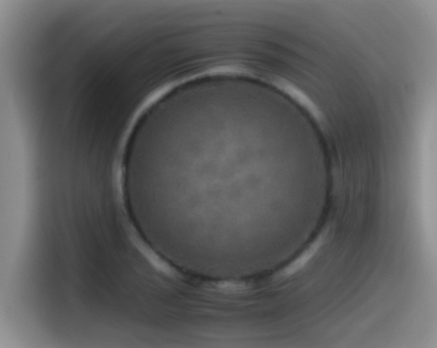 X0000114561029200910191427
