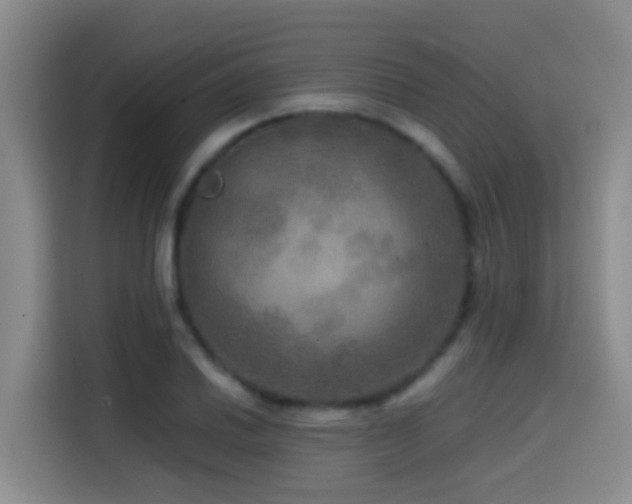 X0000114561030200910191427