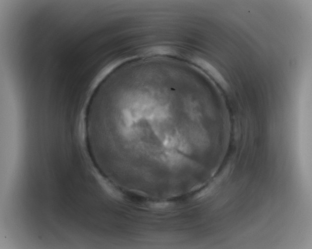 X0000114561031200910191427