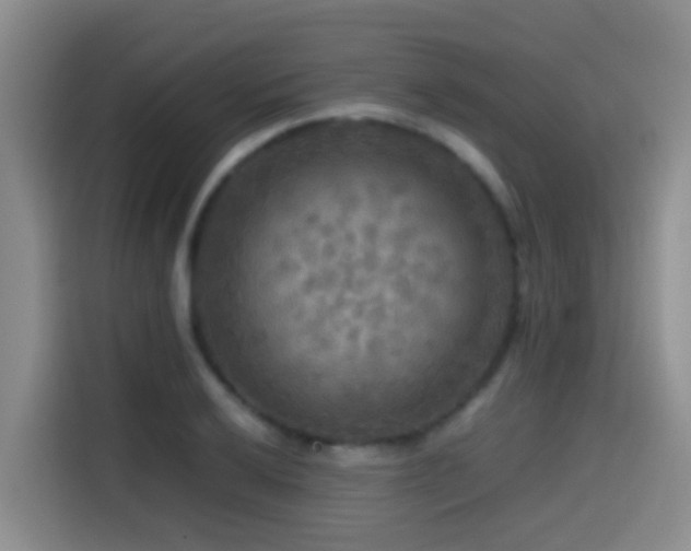 X0000114561032200910191427