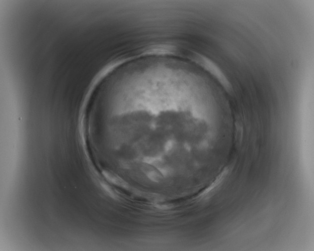 X0000114561035200910191427