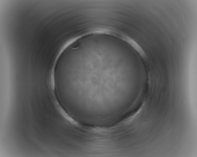 X0000114561036200910191427