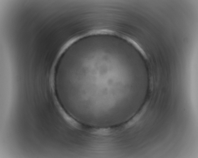 X0000114561038200910191427