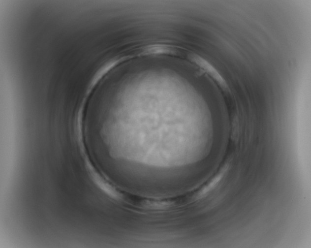 X0000114561039200910191427