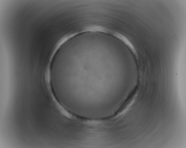 X0000114561040200910191427