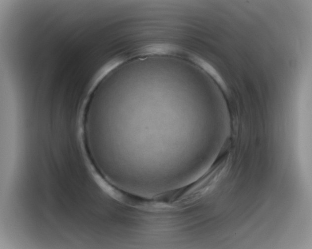 X0000114561042200910191427