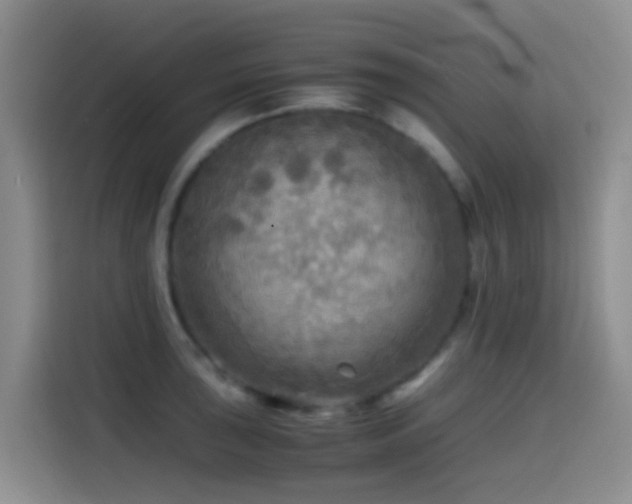X0000114561043200910191427