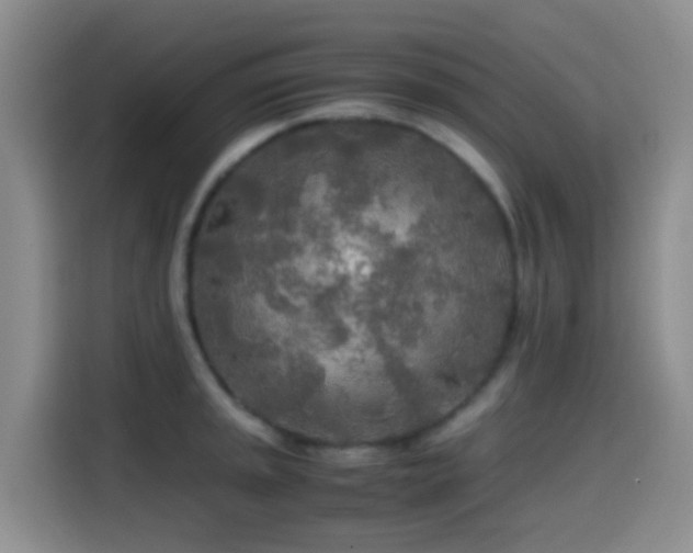 X0000114561045200910191427