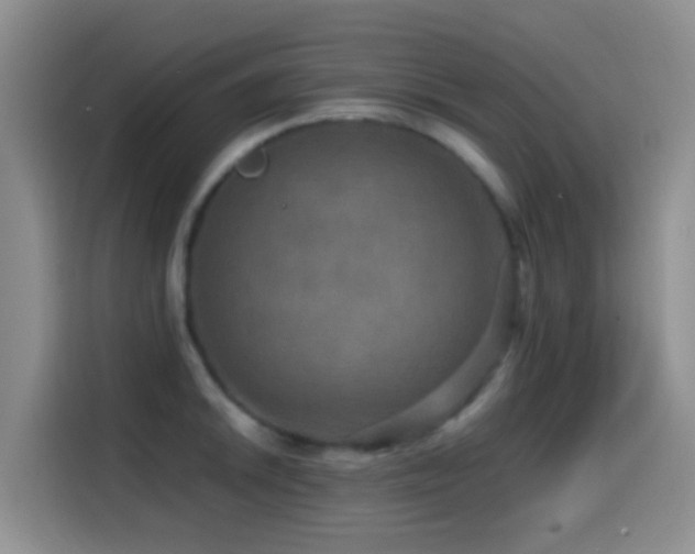 X0000114561046200910191427