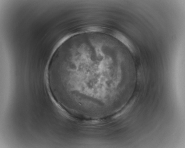 X0000114561047200910191427