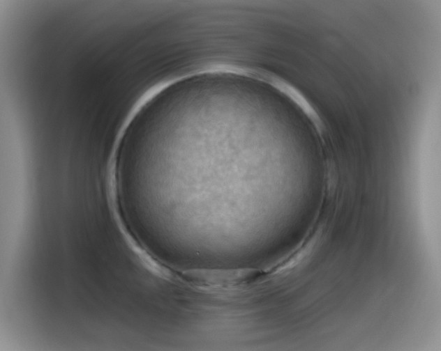 X0000114561048200910191427