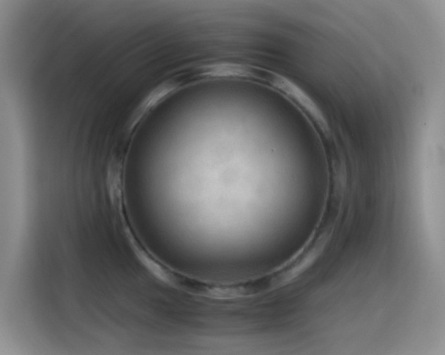 X0000114561049200910191427