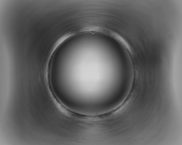X0000114561050200910191427