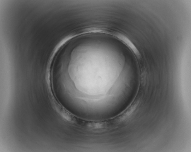 X0000114561051200910191427