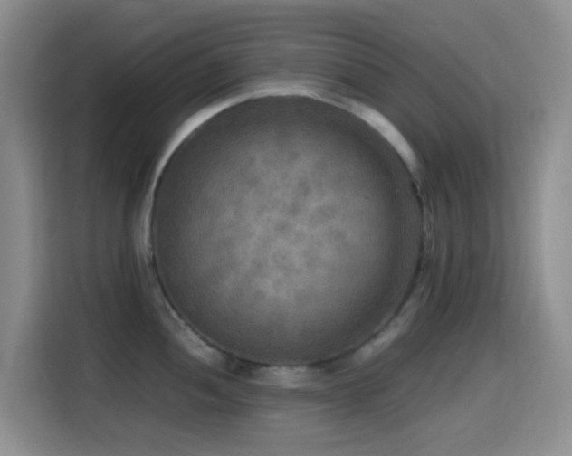 X0000114561052200910191427