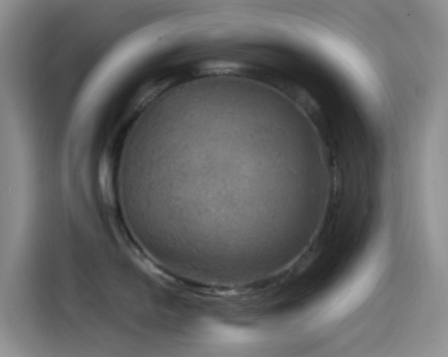 X0000114561054200910191427