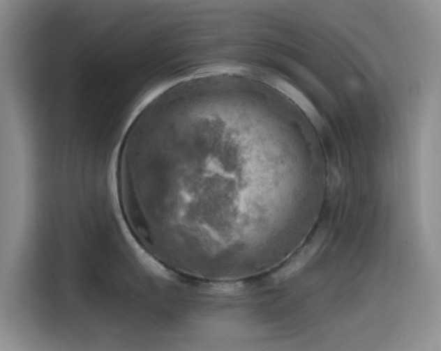 X0000114561055200910191427