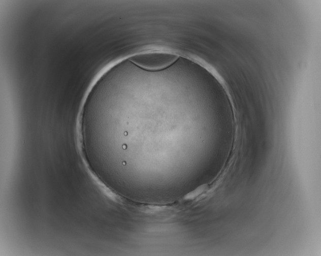 X0000114561056200910191427