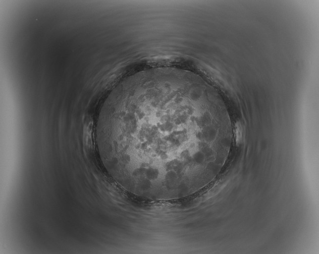 X0000114561059200910191427