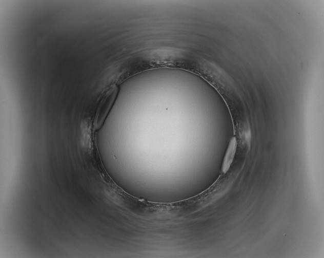 X0000114561060200910191427