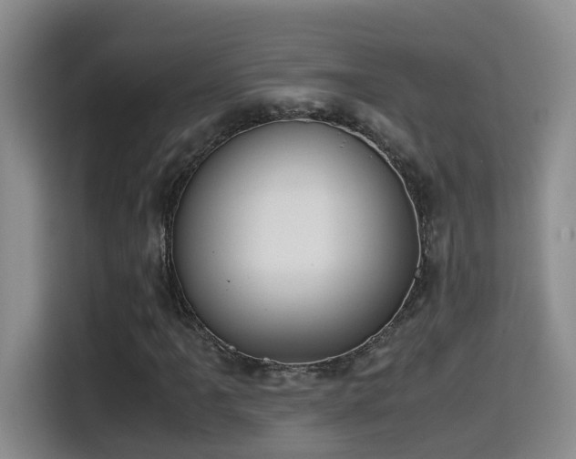 X0000114561061200910191427