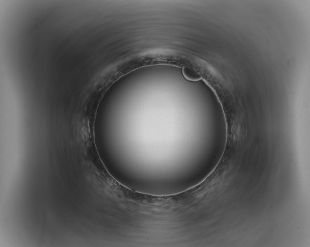 X0000114561062200910191427