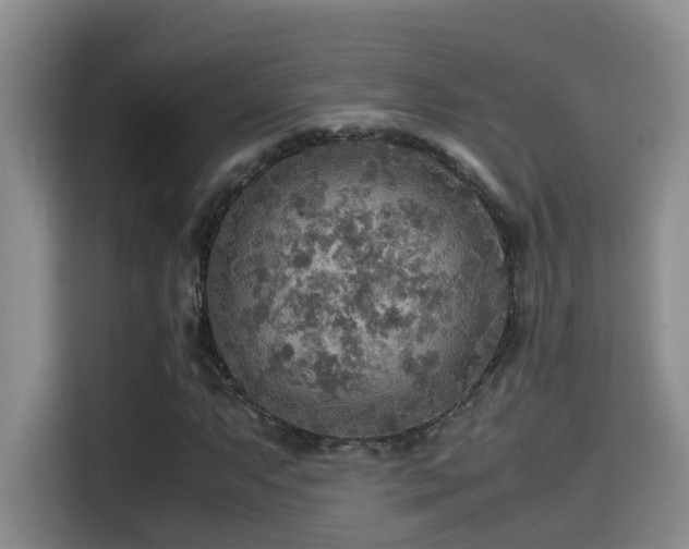 X0000114561063200910191427