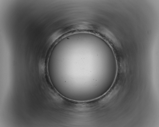 X0000114561065200910191427
