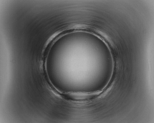 X0000114561066200910191427