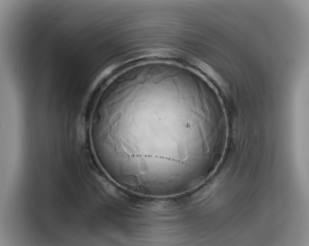 X0000114561067200910191427
