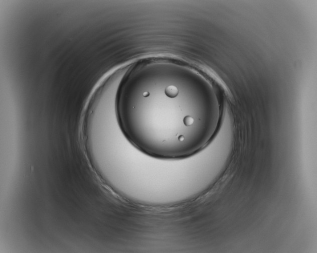 X0000114561068200910191427