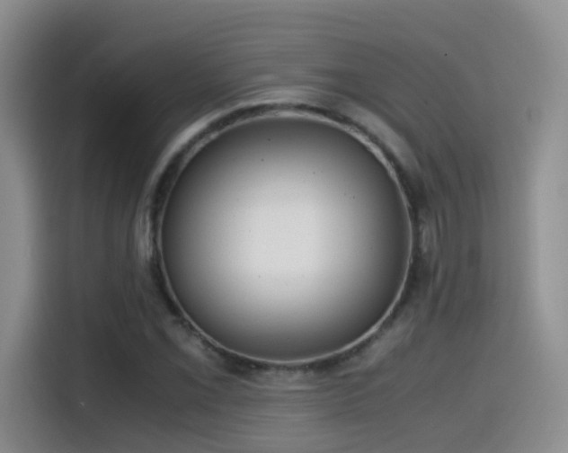 X0000114561069200910191427