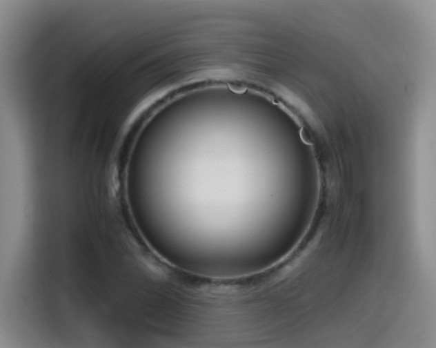 X0000114561070200910191427