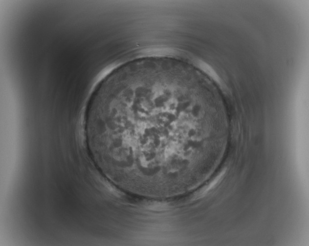 X0000114561071200910191427