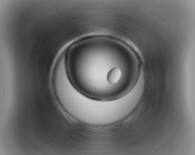 X0000114561072200910191427