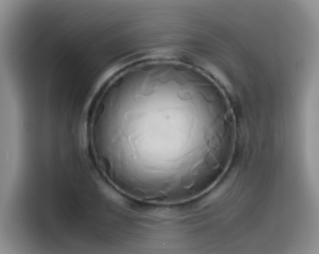 X0000114561075200910191427