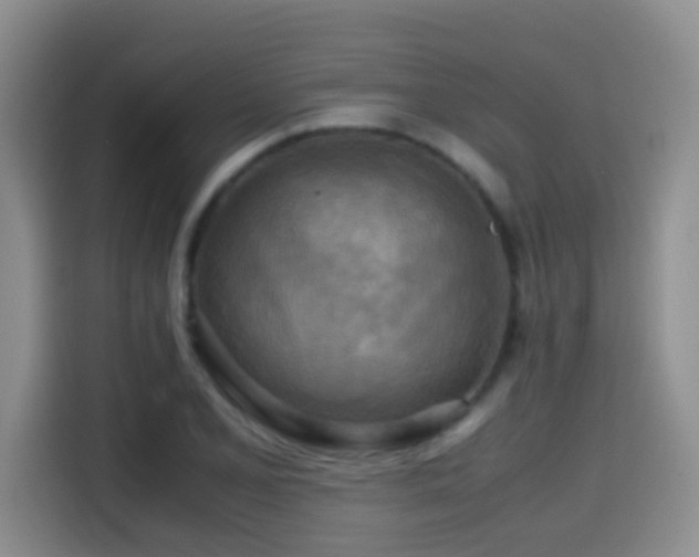 X0000114561077200910191427