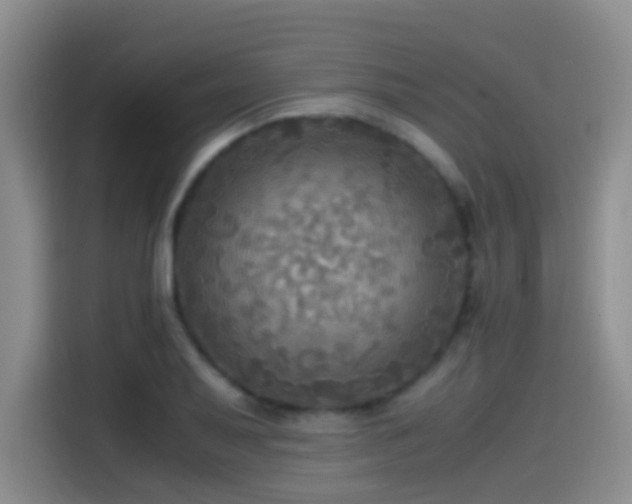 X0000114561079200910191427