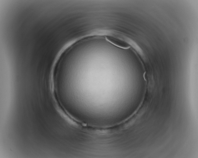 X0000114561080200910191427