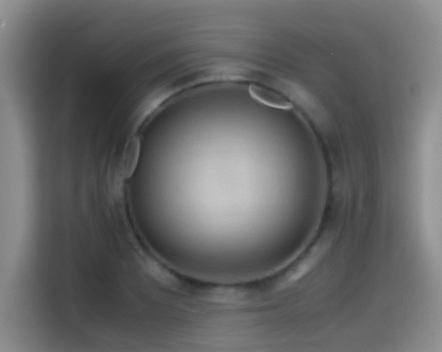X0000114561081200910191427