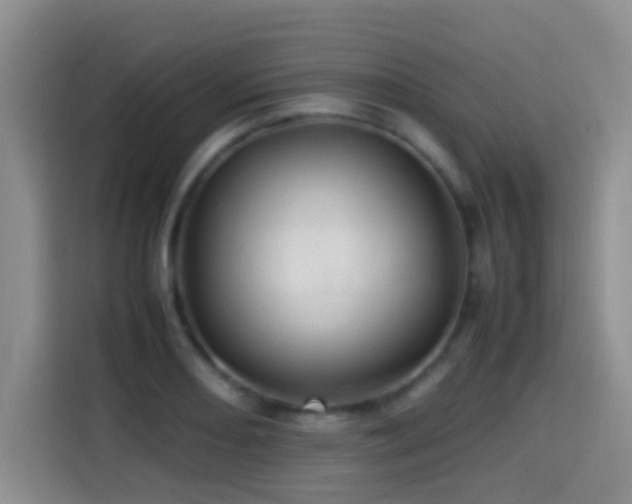 X0000114561082200910191427